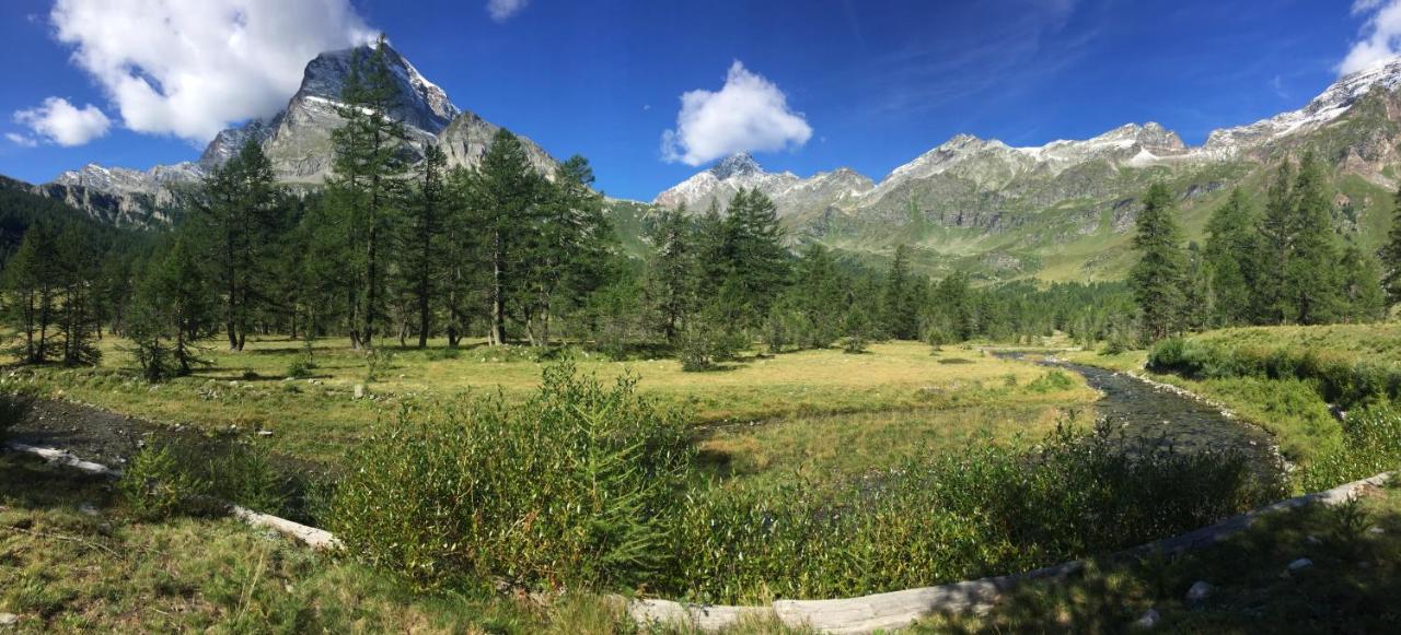 B&B Chalet Il Picchio Varzo Luaran gambar